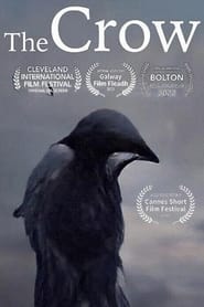 The Crow streaming