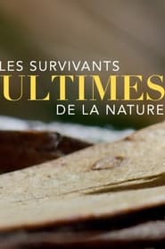 Poster Nature's Ultimate Survivors - Season 1 2023