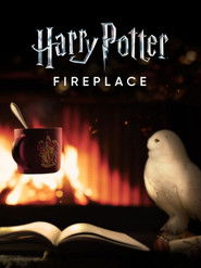 Harry Potter: Fireplace (2022)
