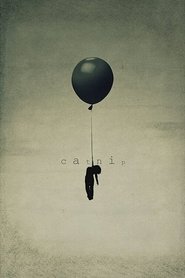 Poster Catnip 2012