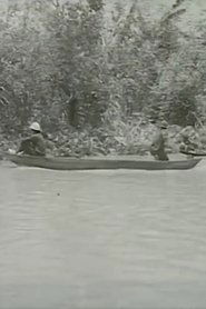 Poster Khoảng Vượt 1970