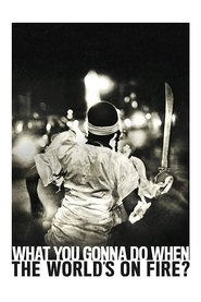 What You Gonna Do When the World's on Fire? poster