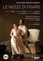 Le Nozze di Figaro) Le Nozze di Figaro (2010)