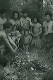 The Kucong People