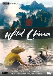 Невідомий Китай постер