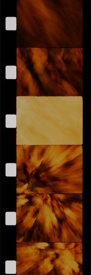 Poster Feuilles 1989