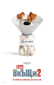 Сами вкъщи 2 [The Secret Life of Pets 2]