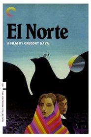 El Norte постер