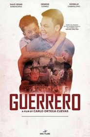 Poster Guerrero 2017