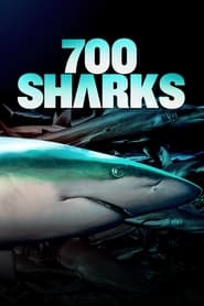 700 Sharks постер