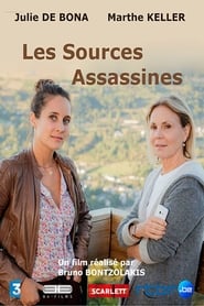 Poster Murder In The Auvergne Mountains 2017