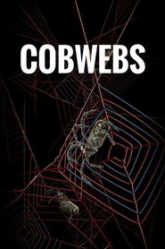 Cobwebs 2013