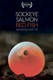 Poster Sockeye Salmon. Red Fish 2020