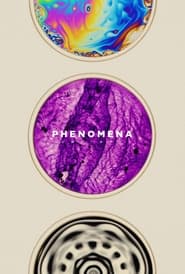 Phenomena streaming