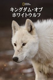 Kingdom of the White Wolf