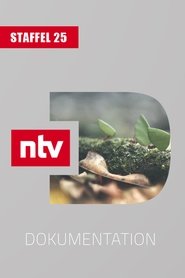Season 25