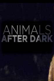 Animals After Dark Episode Rating Graph poster