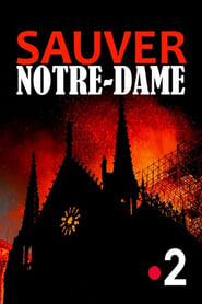 Sauver Notre-Dame - France TV