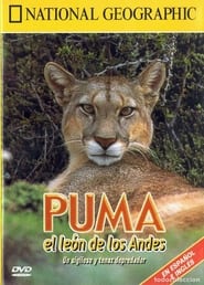 Puma: Lion of the Andes