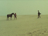 The Great Scary Desert! Two Toubeis!