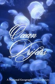 Poster Ocean Drifters 1993