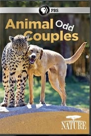 Poster Animal Odd Couples 2013