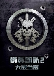精英部队2：大敌当前 (2010)