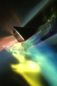 Fluid Fragments (2023)