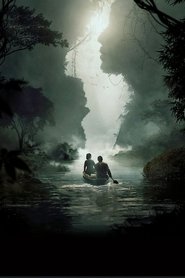 Зелений кордон постер