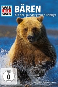 Poster Was ist Was - Bären 2010