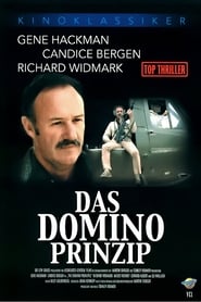 Poster Das Domino Komplott