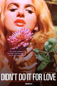 Poster Didn't Do It For Love 1998