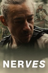 Nerves (2025)