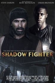 Shadow Fighter постер