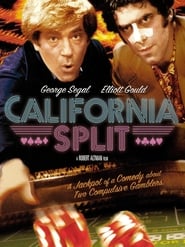 Poster California Split