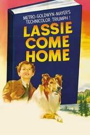 Poster van Lassie Come Home