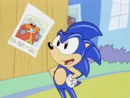 Sonic Is Running