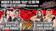 Poster Stardom Dream Slam In Osaka 2018