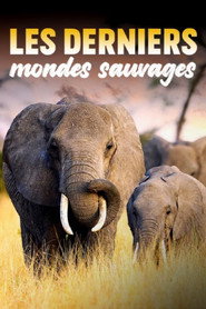 Les Derniers Mondes Sauvages (2025)