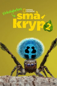 A Real Bug's Life Season 2 19