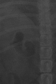 LA NOVIA DE MI AMIGO.