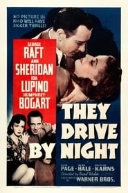 They Drive by Night постер