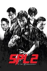 Kill Zone 2 (2015) Hindi Dubbed