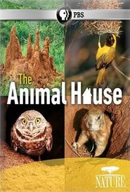 Poster The Animal House 2011