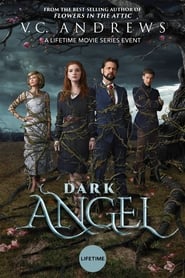 Dark Angel постер
