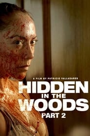Poster Hidden in the Woods 2
