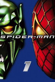 The Amazing Spider Man What Went Wrong With Sony S Movie Series