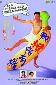 Poster 那根所有权