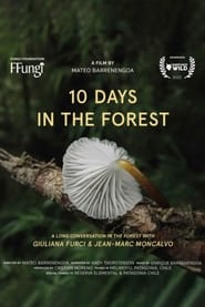 10 Days in the Forest