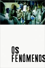 Poster Os fenómenos